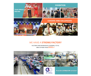 Chine Qingdao Dadong Electronics Co., Ltd.