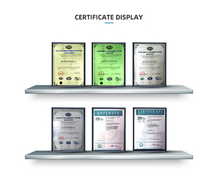 Chine Qingdao Dadong Electronics Co., Ltd.